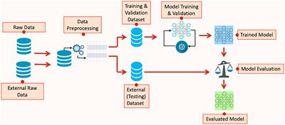 Frontiers | The Promise Of AI In Detection, Diagnosis, And Epidemiology ...